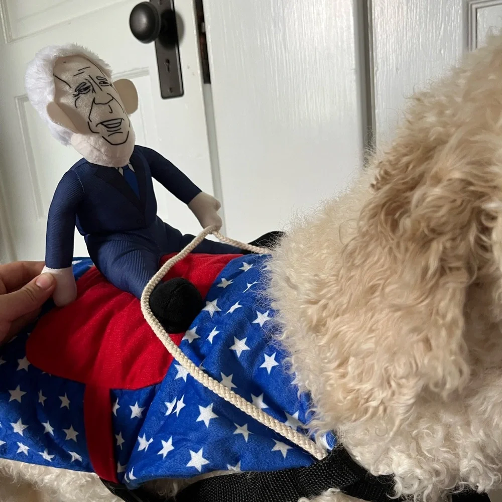 Funny Dog Harness